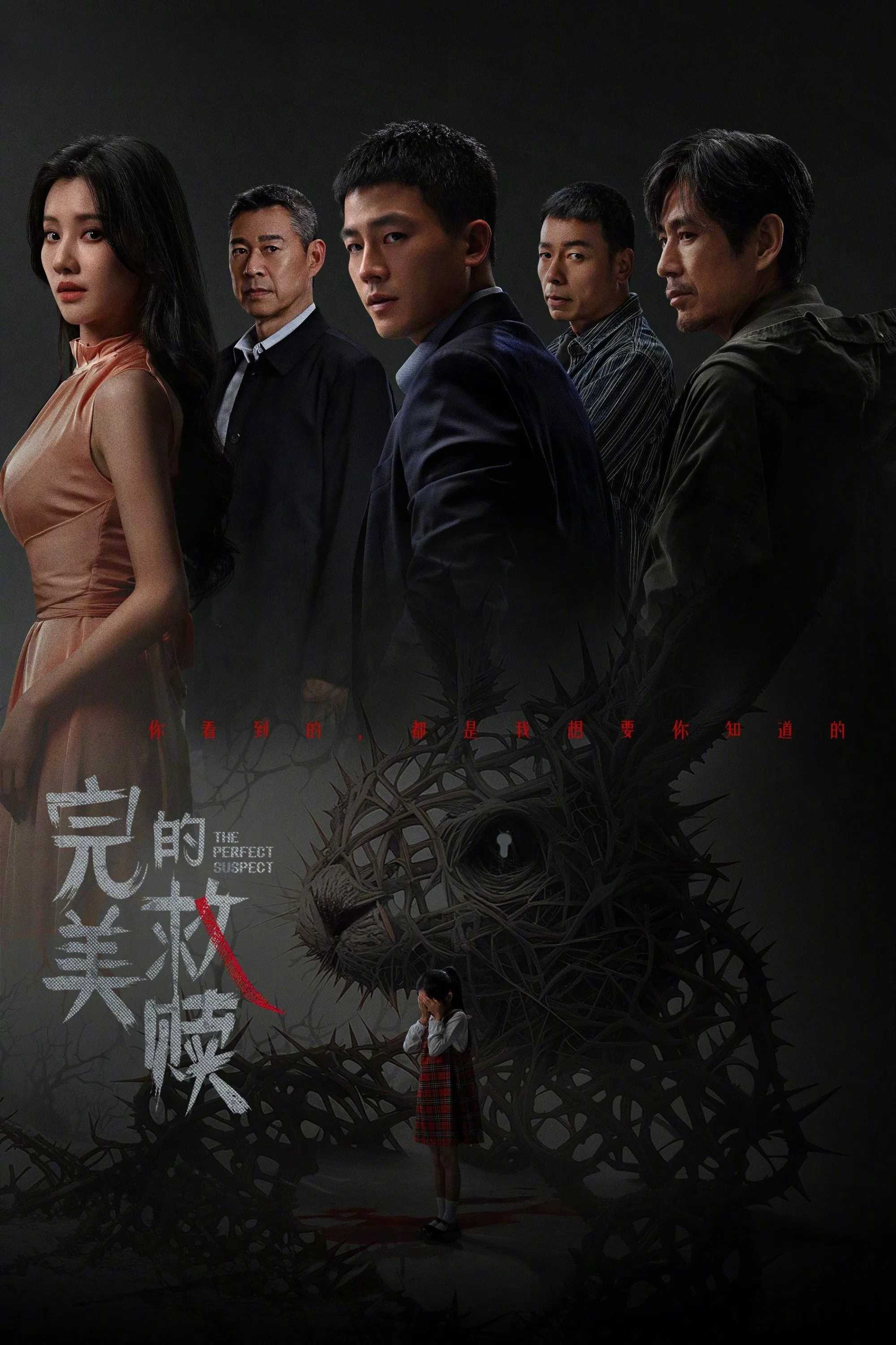 完美的救赎（2025）【首更04集】【4K/臻彩视听】国语中字 1.1G/集左右